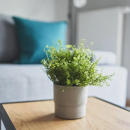 Szarotka * Nowy Targ